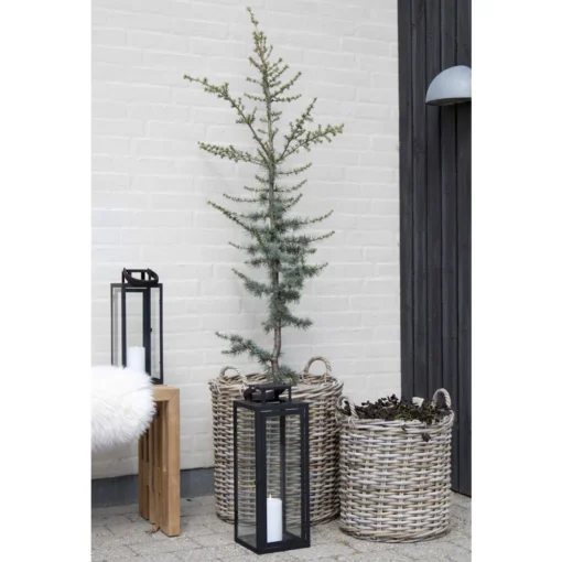 House Nordic Indo Rattan Kurve Natur Sæt - Image 3
