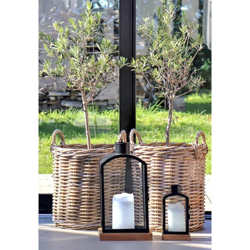 House Nordic Indo Rattan Kurve Natur Sæt - Image 4